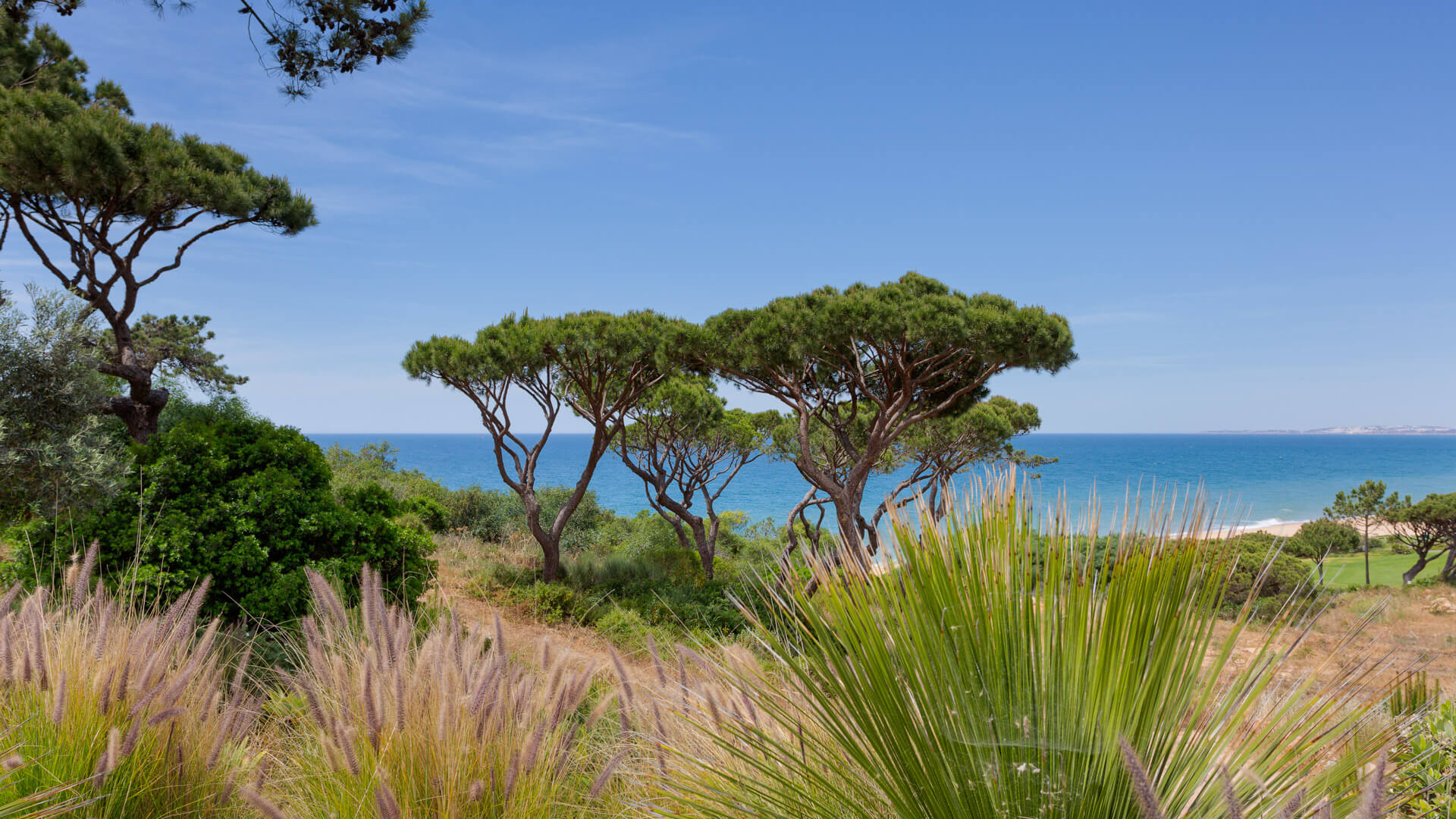 Villa OceanView
